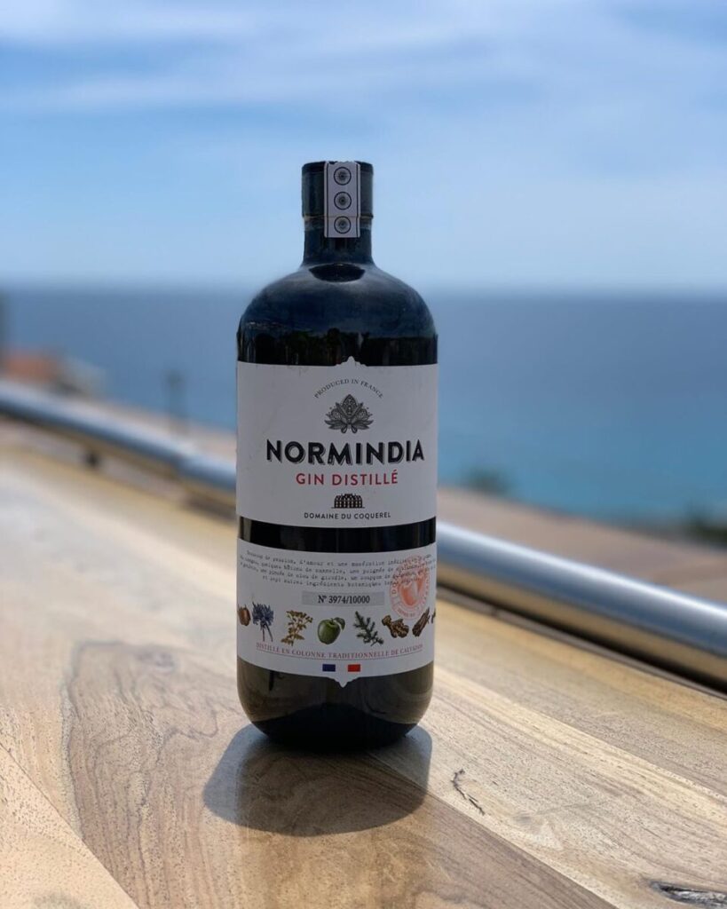 Flaske Normindia gin med udsigt
