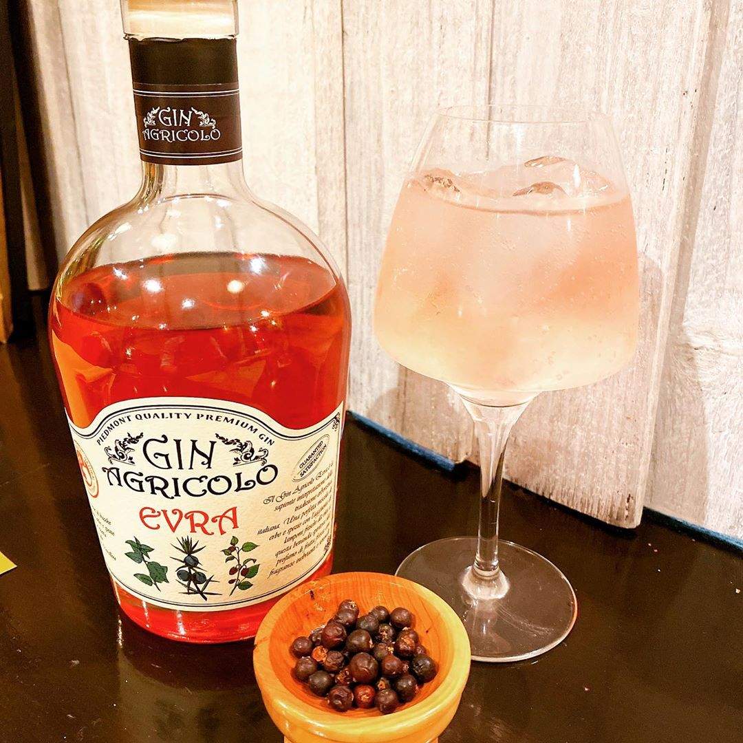Gin Agricolo Evra 1 Billed af en cocktail med Gin Agricolo Evra