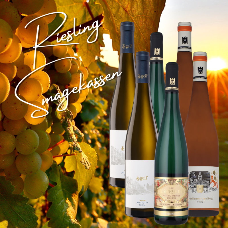 Riesling Smagekasse 1