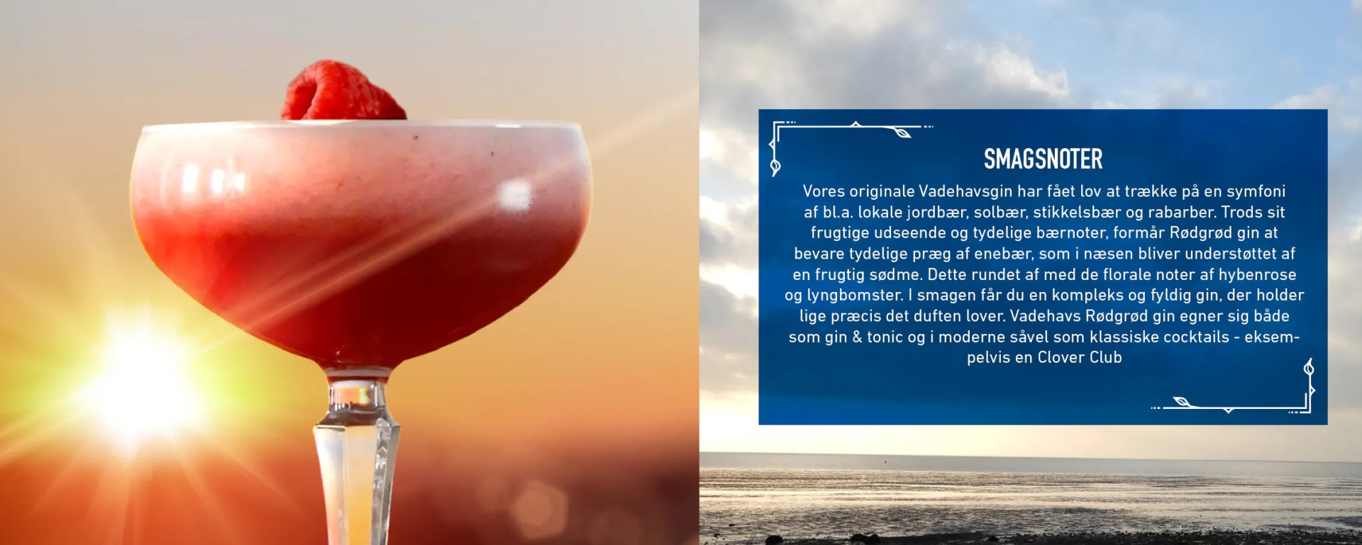 Vadehavs Rødgrød Gin 1