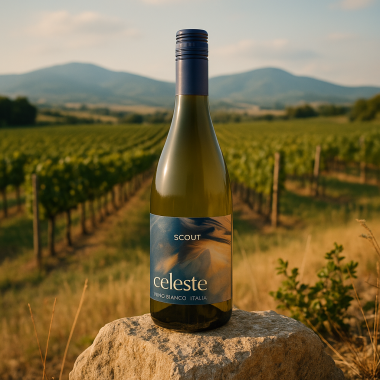 CELESTE SCOUT BY VINCENZO VINO BIANCO - 1 flaske