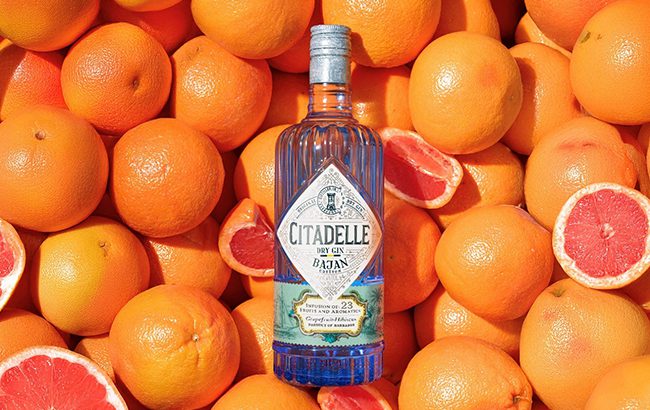 Citadelle lancerer barbados-gin med grapefrugt – fransk gin møder caribisk destilleri