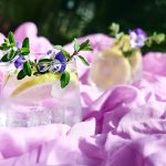 Gin Masters 2026: Stauning Danish Dry Gin og Hernö stjæler rampelyset