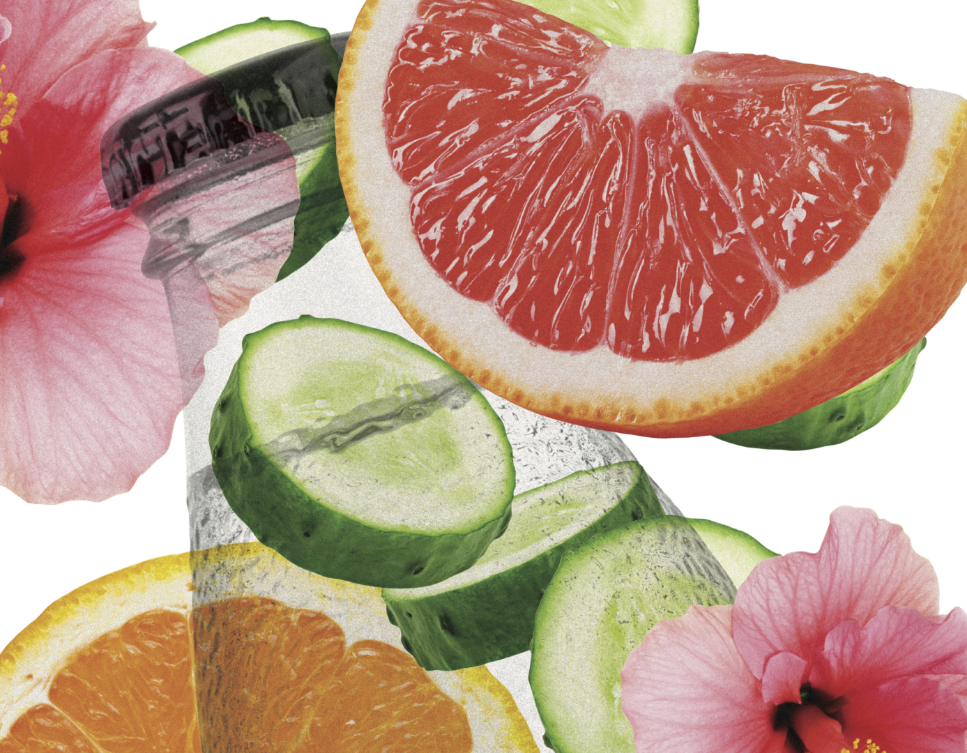 smagfuld tonic – Smagfuld tonic: Fra gin-mixer til egen hovedrolle